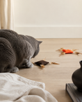Carica l'immagine nel visualizzatore della galleria, NOQIVA Gioco per Gatti in Tela Piumata

