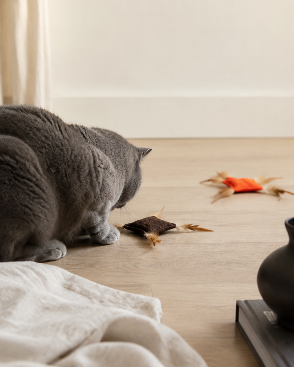 NOQIVA Gioco per Gatti in Tela Piumata