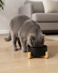 Load image into Gallery viewer, NOQIVA Low-Profile Ceramic Cat Bowl with Bamboo Stand
