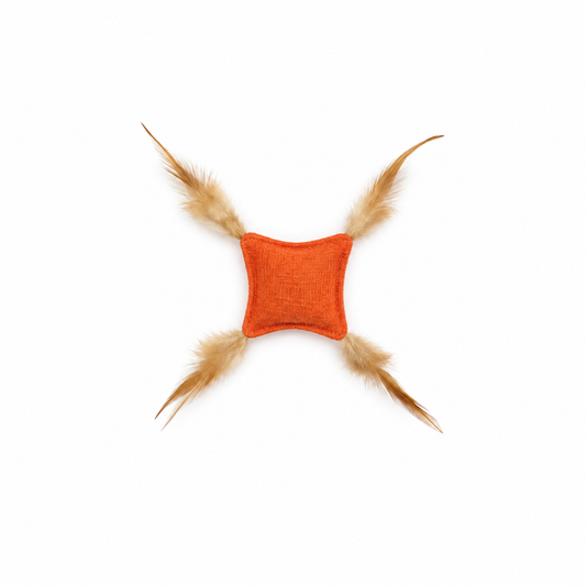 NOQIVA Gioco per Gatti in Tela Piumata